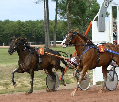 jamaique_victorieuse