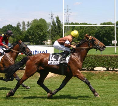 rutile_laroche_victoire_laureat