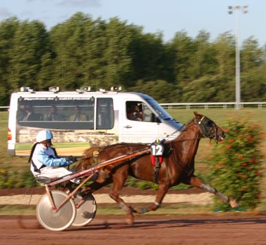 sirius_lessables_accessit_laureat